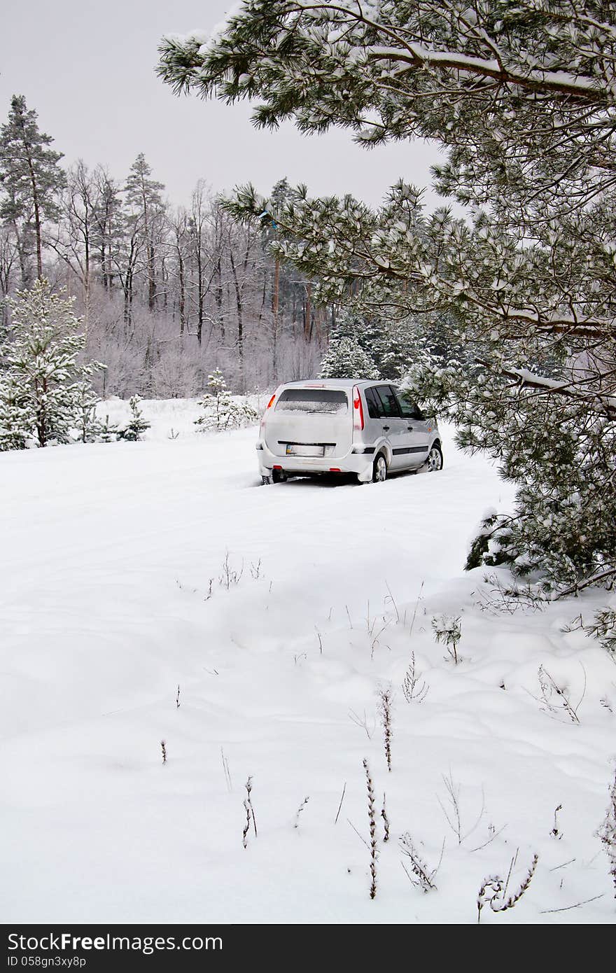 Car in the winter forest