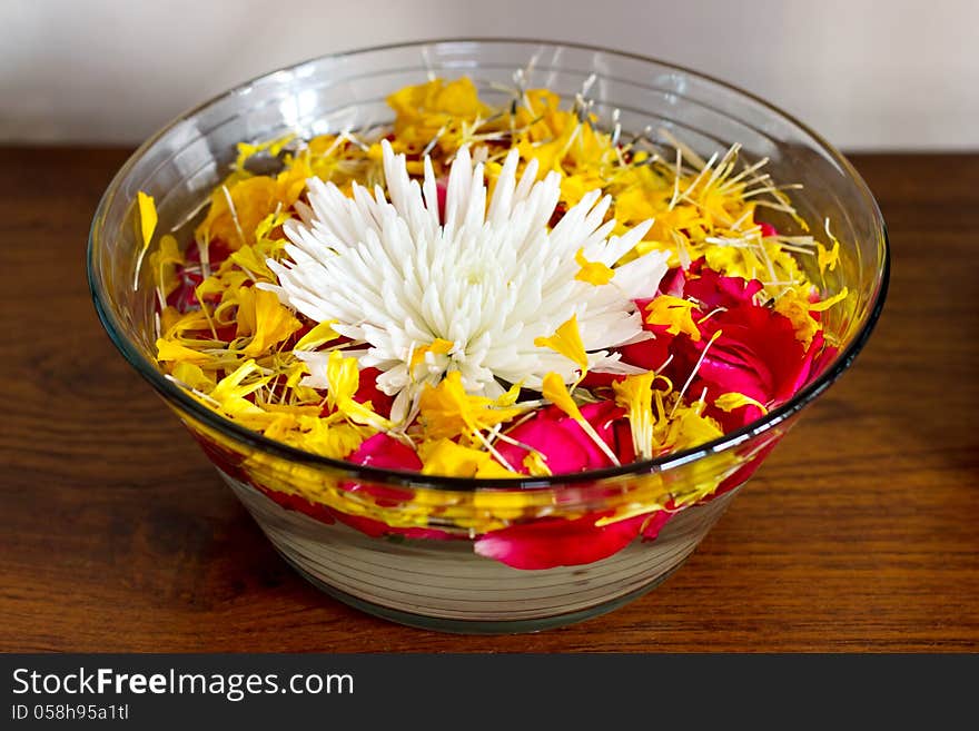 Chrysanthemum With Petals In A Vase With Water