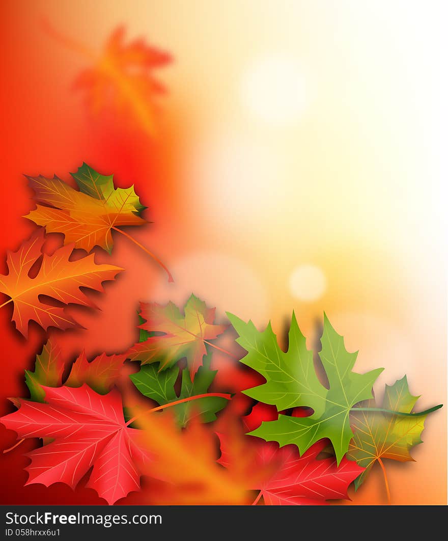 Autumn maple leaves as a background in vector illustration. Autumn maple leaves as a background in vector illustration