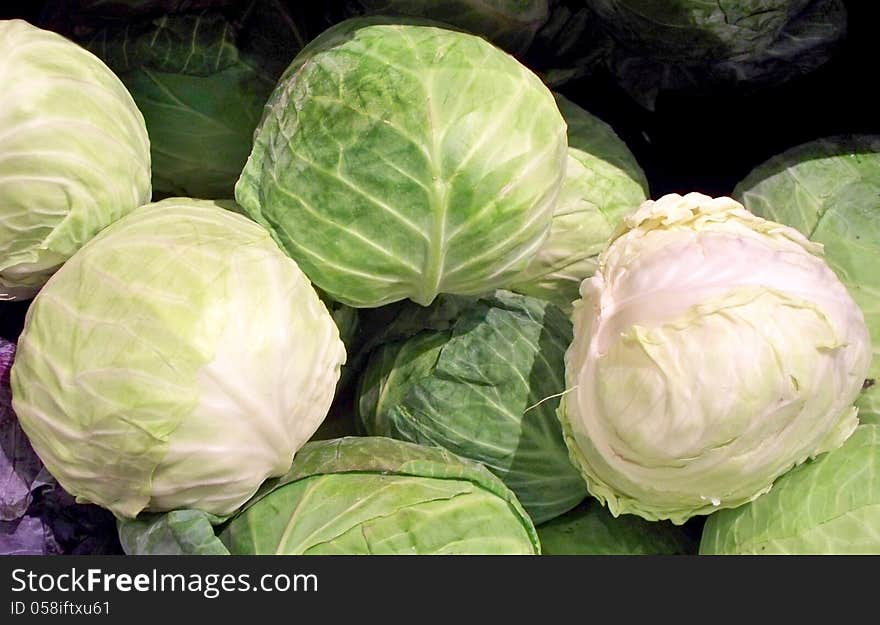 Cabbage