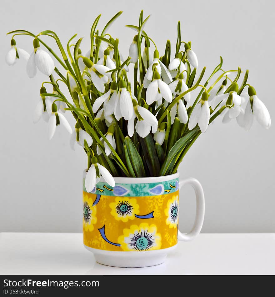 Bunch of snowdrops in a cup.