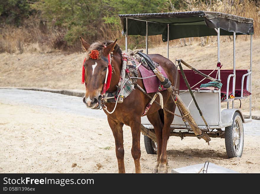 Chinese Horse-drawn Carriage