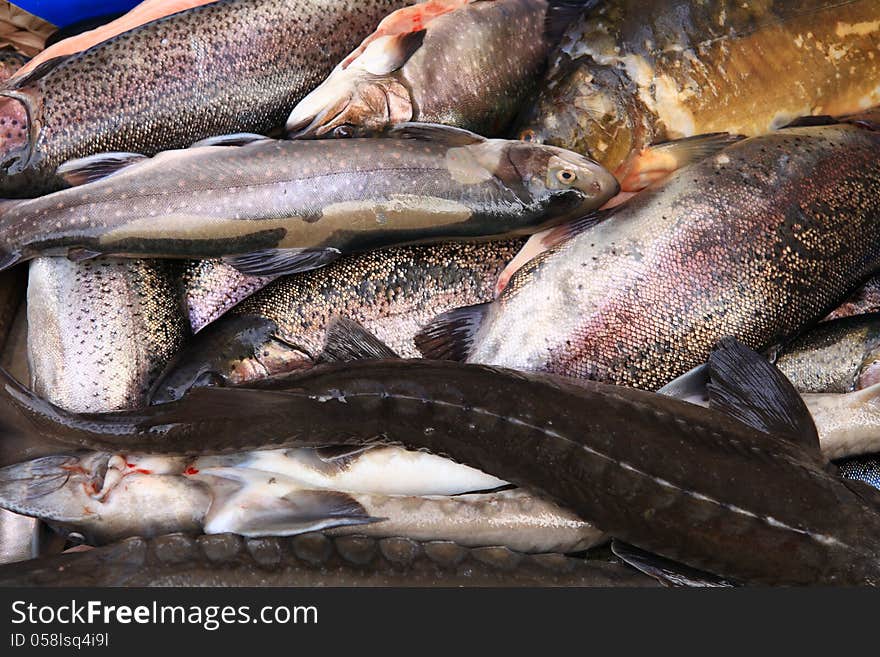 Fresch fisch at the market in Lithuania. Fresch fisch at the market in Lithuania.