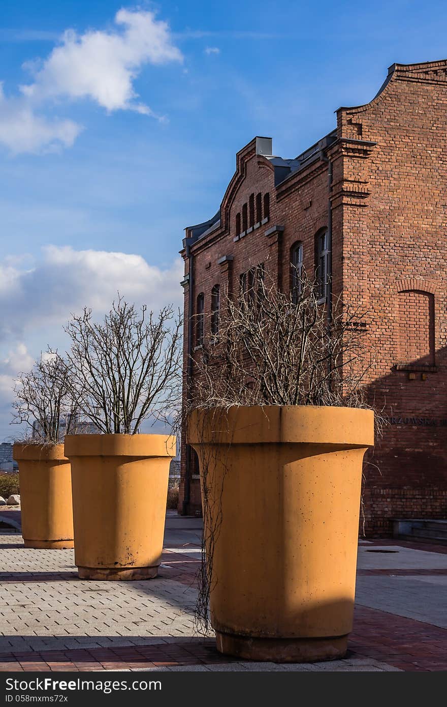 Huge planters with the trees on the site of a former coal mine Silesia in Katowice, Silesia region, Poland.