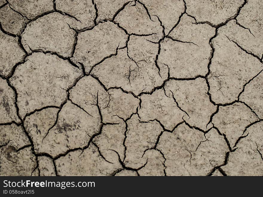 Mud that has been dried and cracked from the sun in a swamp. Mud that has been dried and cracked from the sun in a swamp.