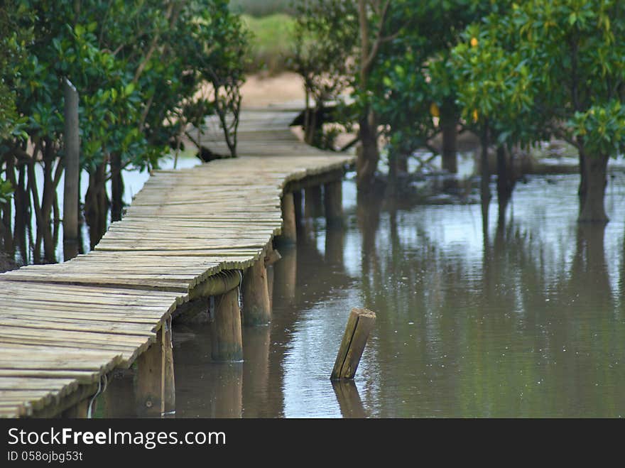 A wooden walkway leads off into the distance and is surrounded by trees and water. A wooden walkway leads off into the distance and is surrounded by trees and water.