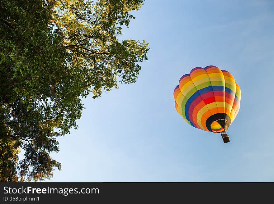 Balloon On Blue Sky With Tree