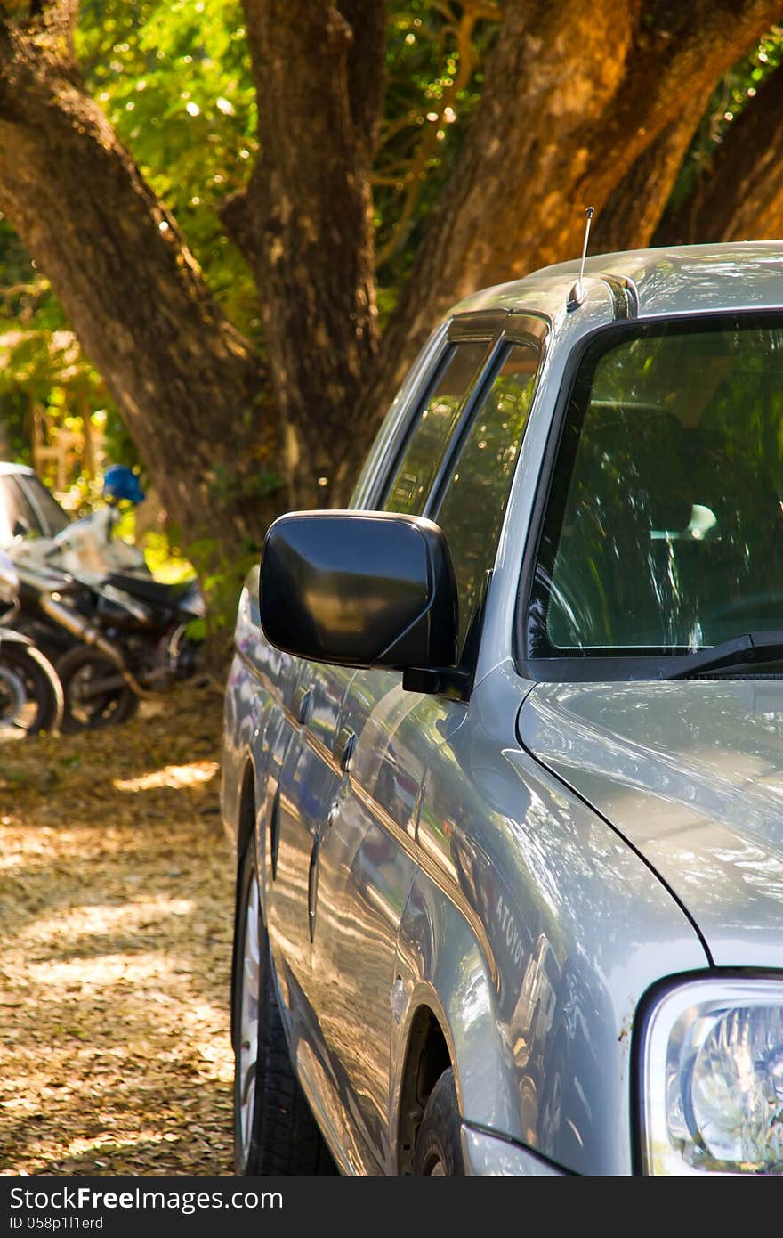 Pickup trucks parked near a large tree. Pickup trucks parked near a large tree.