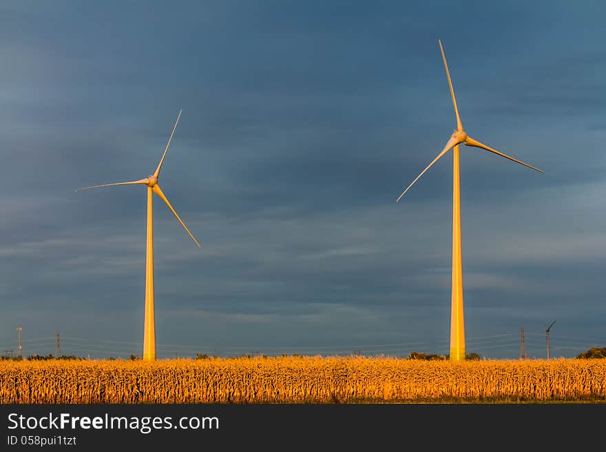 Wind turbine in a field in the evening, producing wind, Canada