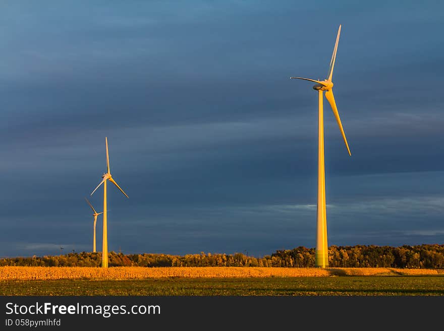 Wind turbine in a field