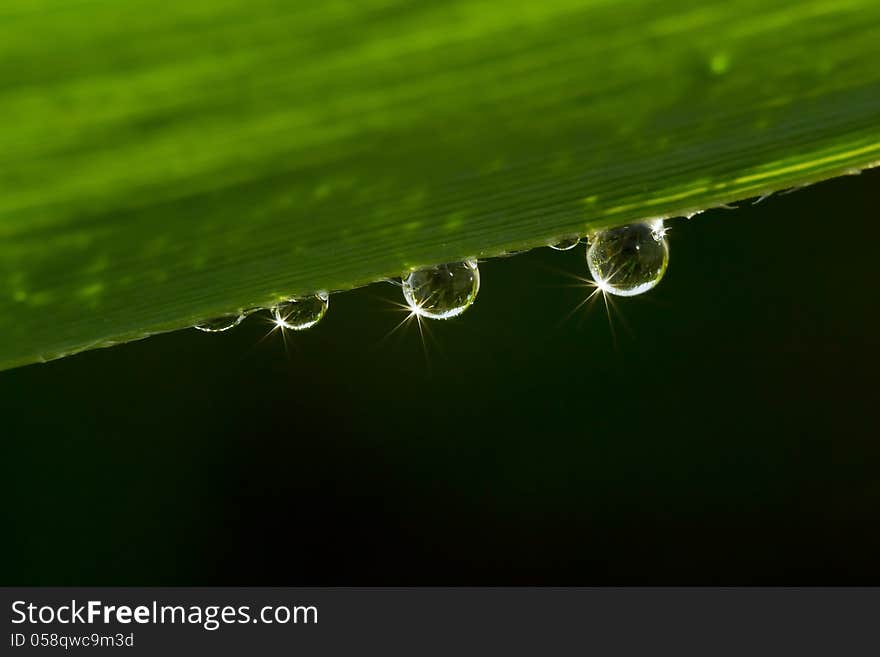 Three drops hanging from the a sheet