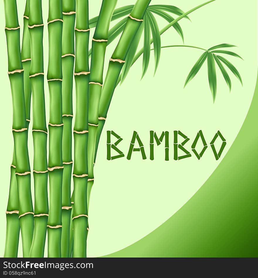 Bamboo On Green Background