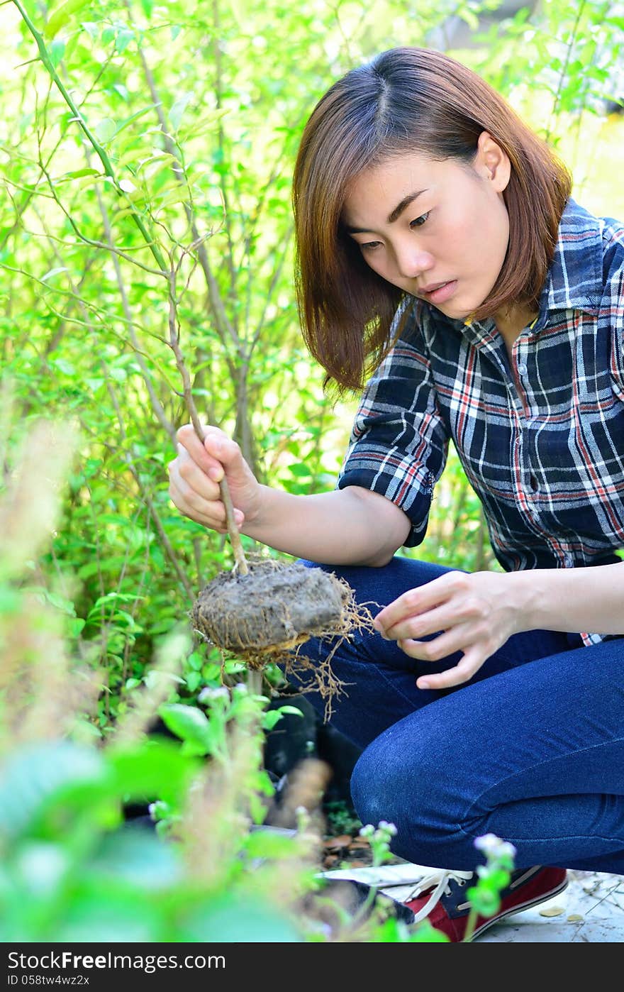 Asian women to potted plants