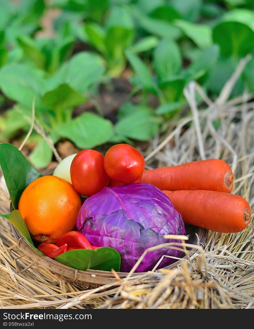 Bucket of colourful vegetables