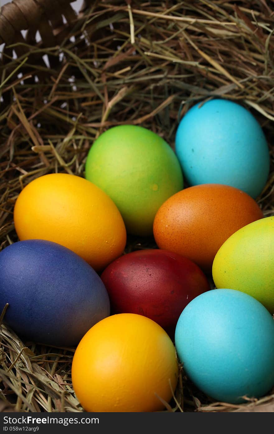 Colorful easter eggs in nest.