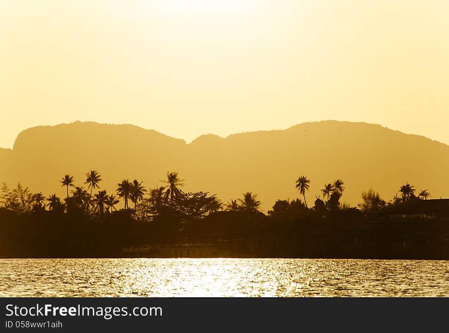 Palmtree silhouettes at the seashore. Palmtree silhouettes at the seashore