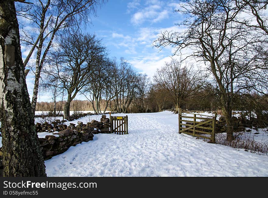 Open gate in a rural winter landscape with snow, stonewalls and trees,