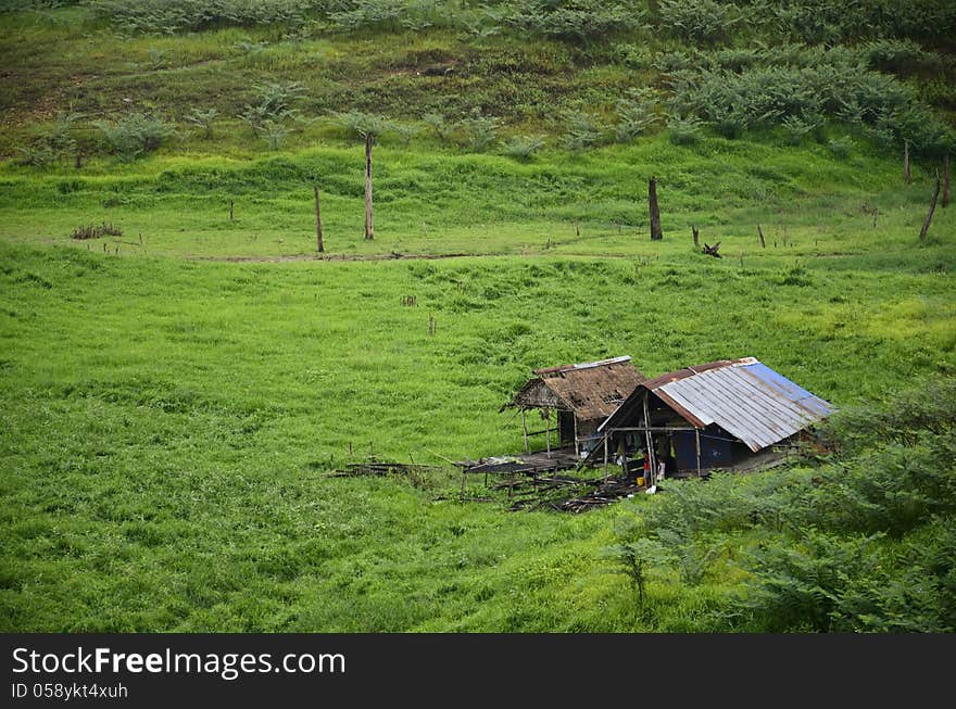 Homes in rural of Thailand