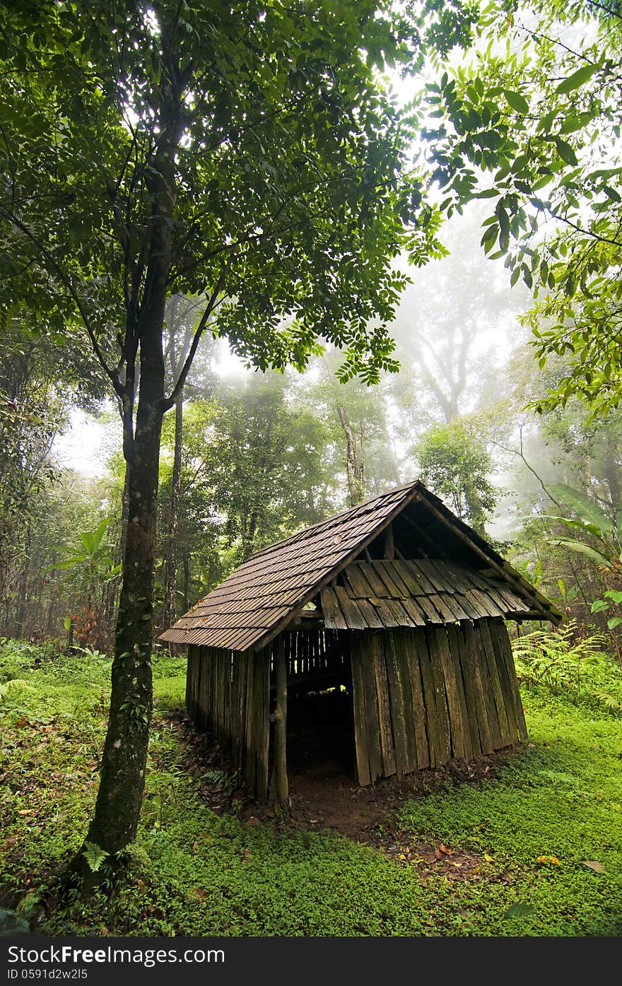 Wood cabin in the forest