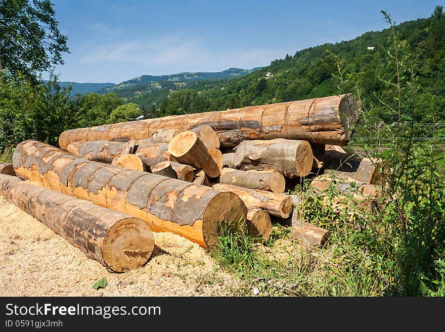 Lumber on roadside with sawdust in front of mountains background. Lumber on roadside with sawdust in front of mountains background