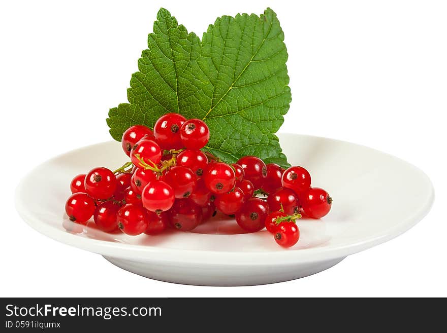 Isolated wet redcurrant with green leaf on white plate close