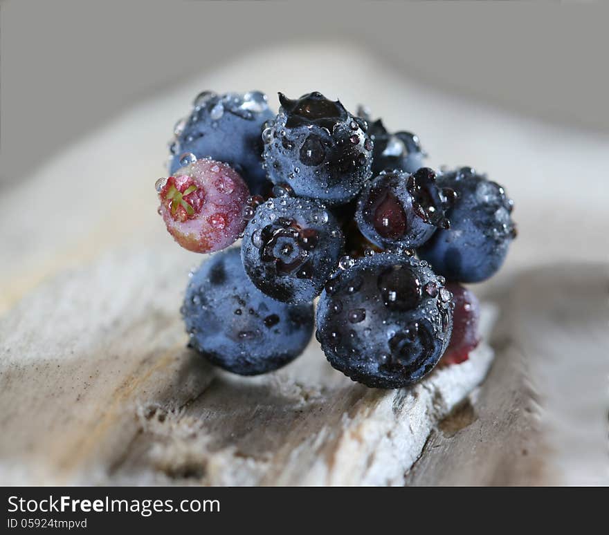 Bunch of blueberries on a peice of driftwood. Bunch of blueberries on a peice of driftwood