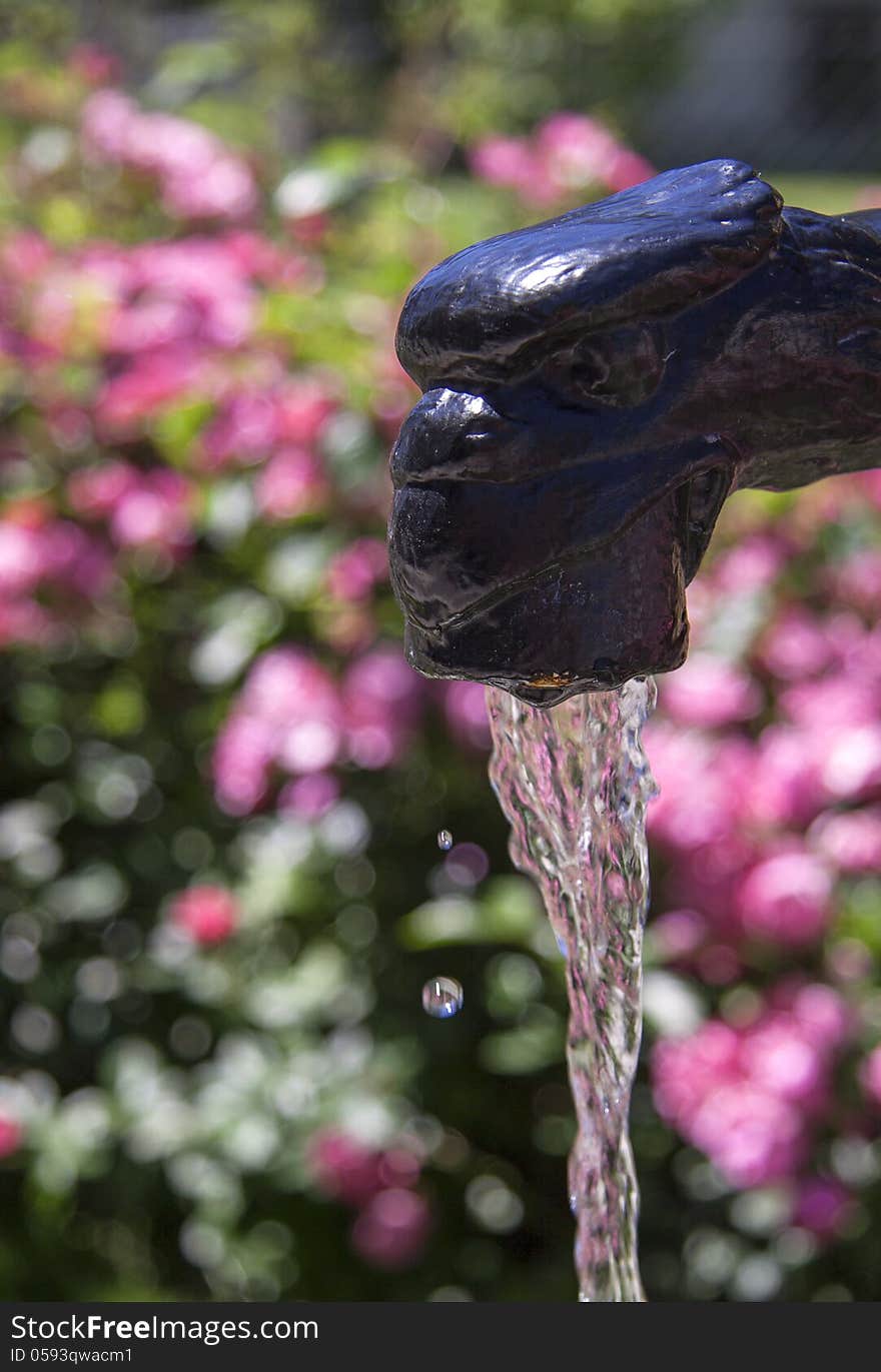 Old iron fountain with flowers in background. Old iron fountain with flowers in background