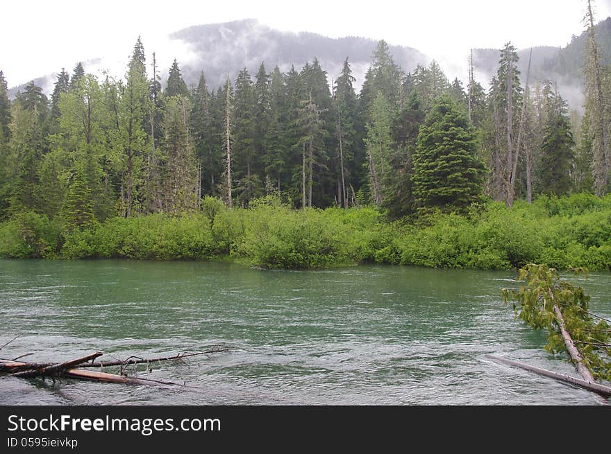 Tree in the lake with a mountain background. Tree in the lake with a mountain background