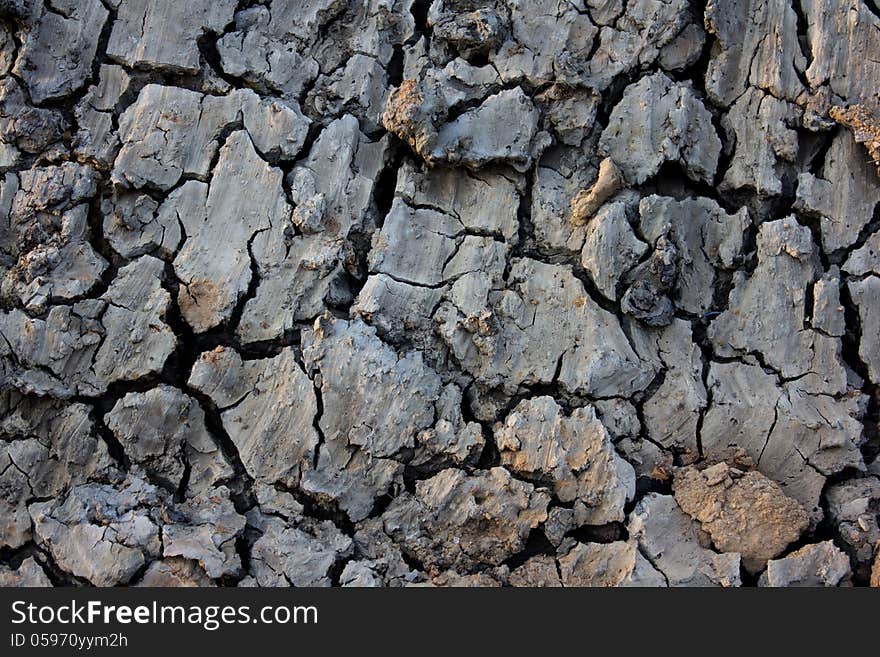 Broken soil in dry season. Broken soil in dry season