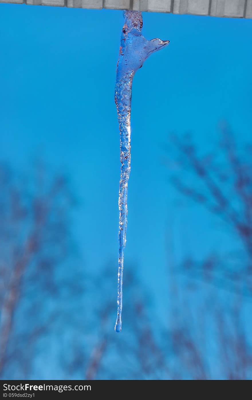 Icicle hanging from the roof on a blue sky background