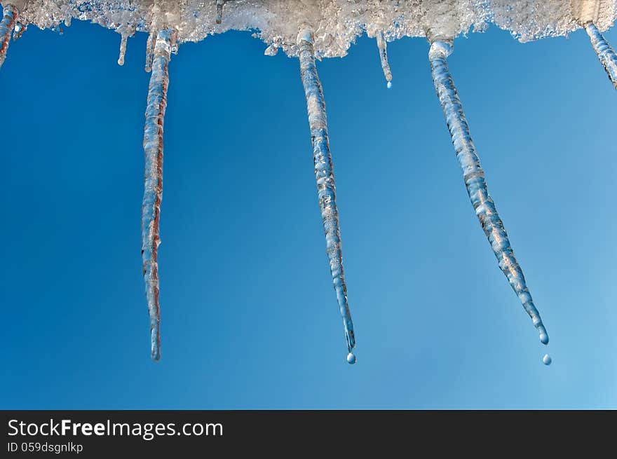 Hanging icicles dripping against the clear sky