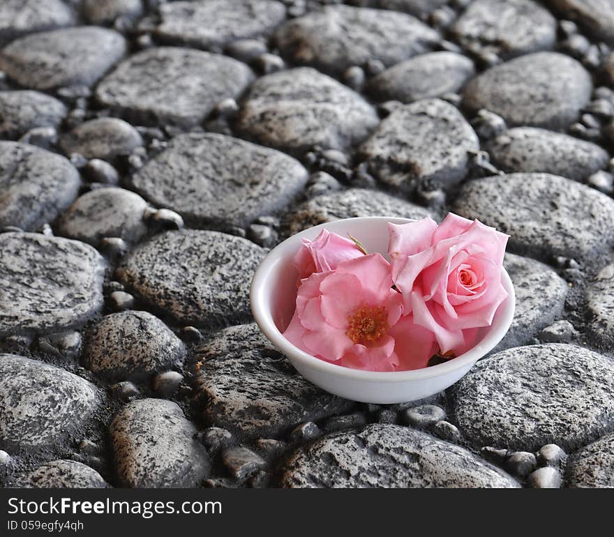 Pink Roses on Rocks