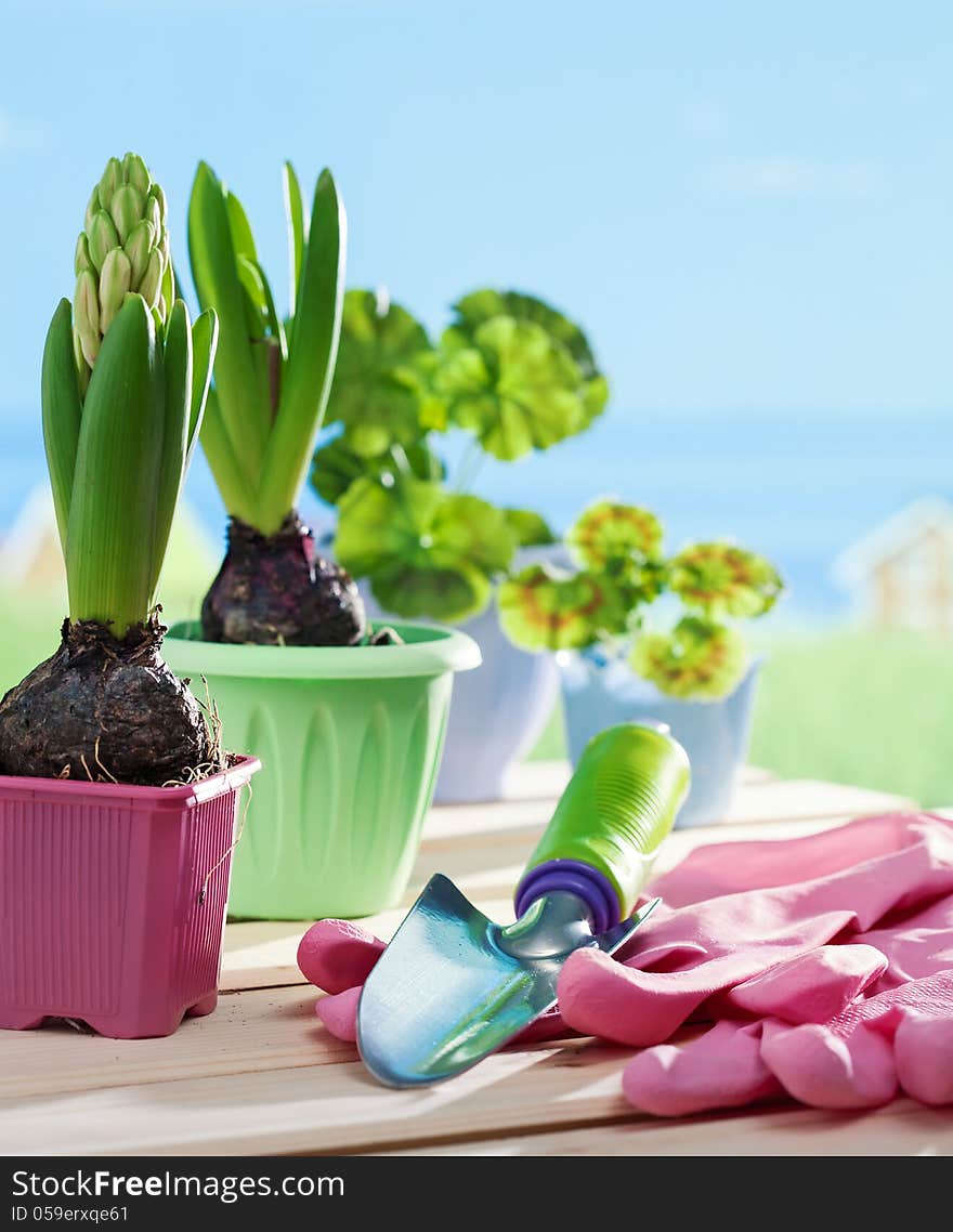 Flowers in flowerpots and garden shovel