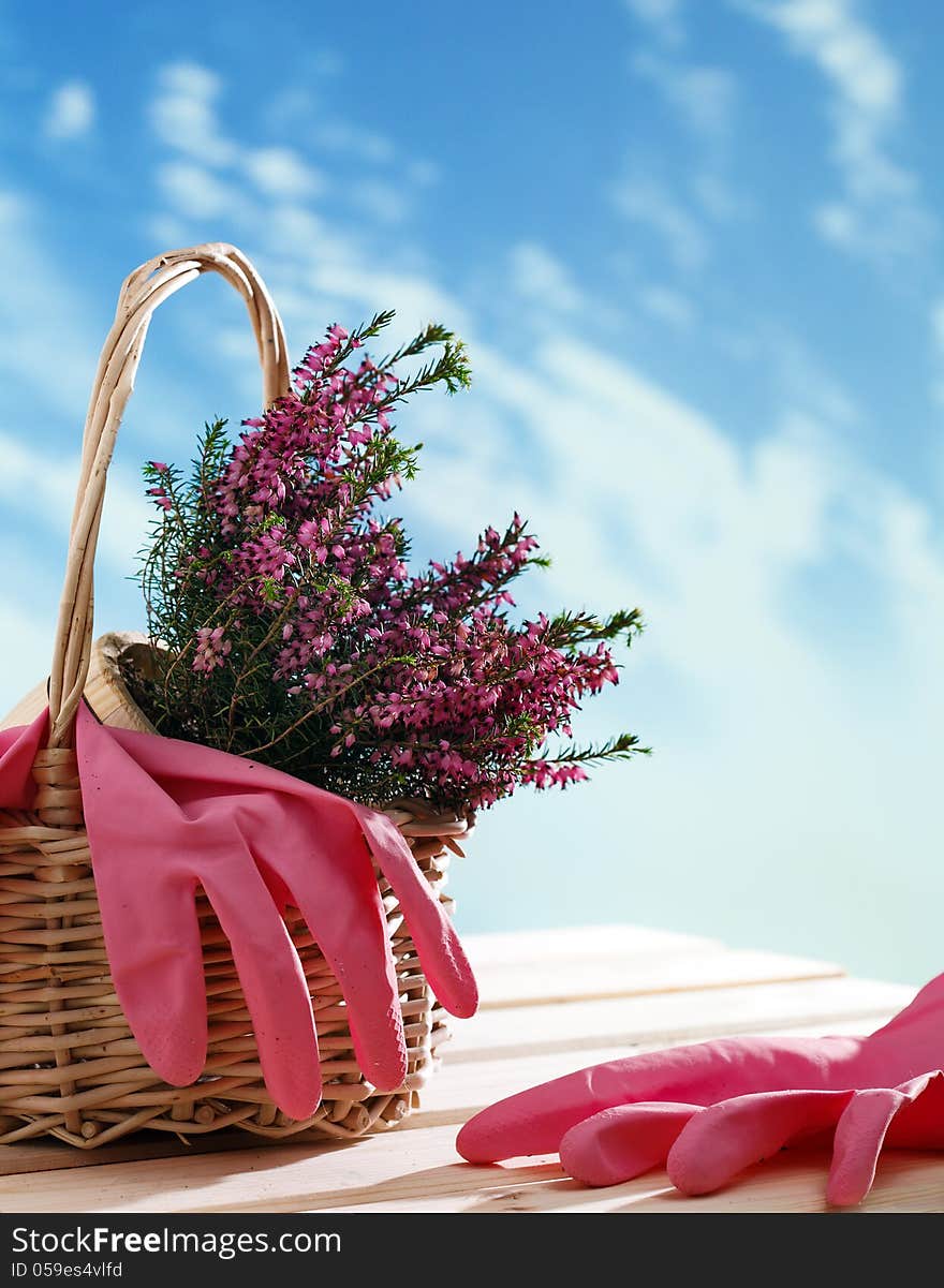 Basket with houseplant, rubber gloves and watering can. Basket with houseplant, rubber gloves and watering can