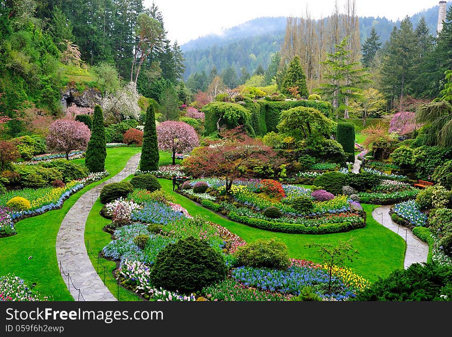 Flowers and green beautiful in Canada. Flowers and green beautiful in Canada