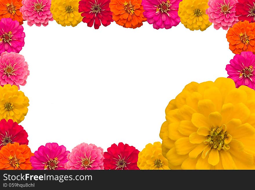 Frame of Zinnias flower isolated on white background