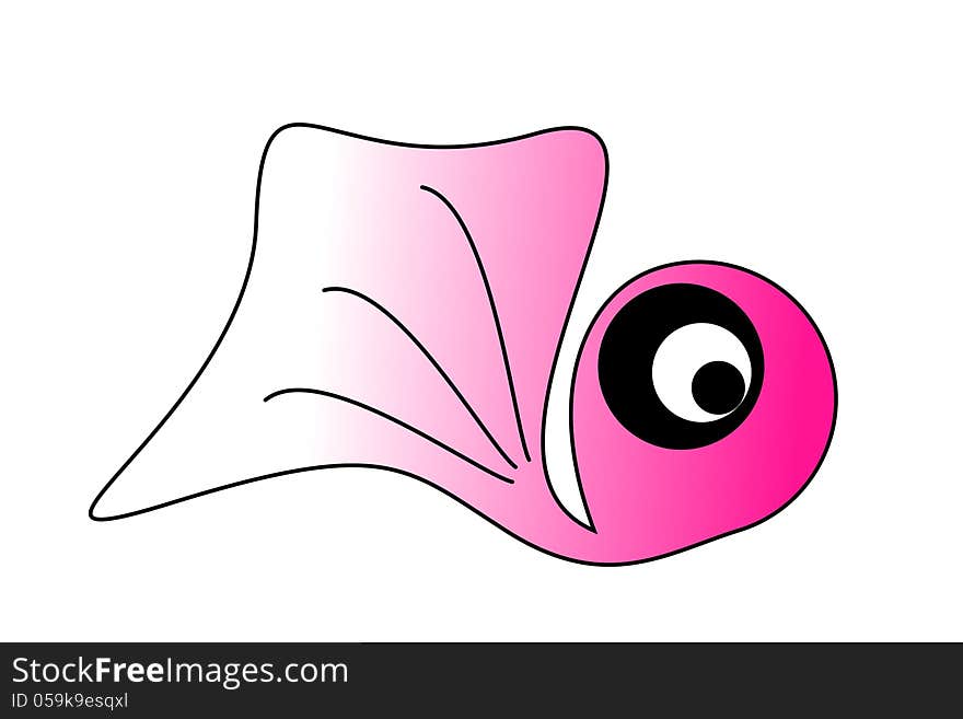 Pink fish on white background