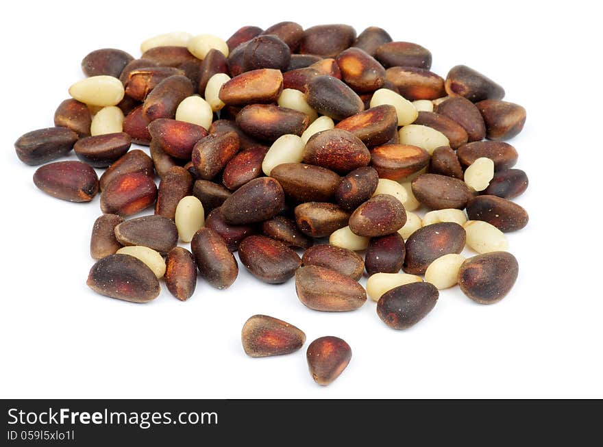 Cedar Nuts