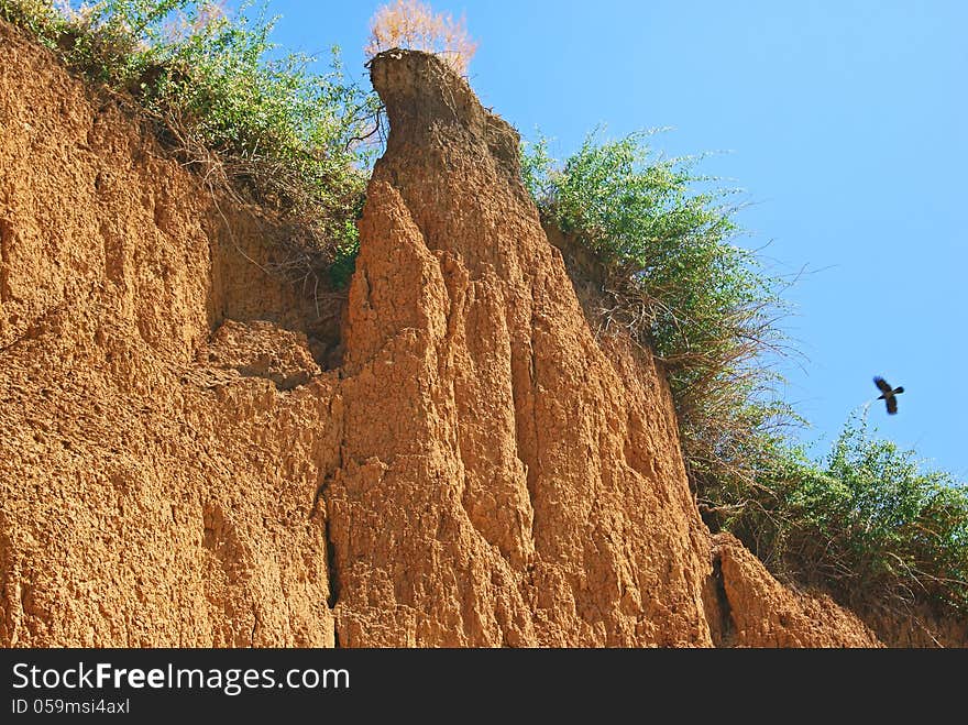 Multiple cracking of weathered soil with bushes on top. Multiple cracking of weathered soil with bushes on top