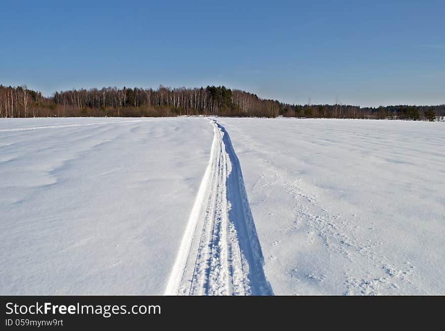 Snowmobile track across the snowy field toward the woods, winter sunny day. Snowmobile track across the snowy field toward the woods, winter sunny day