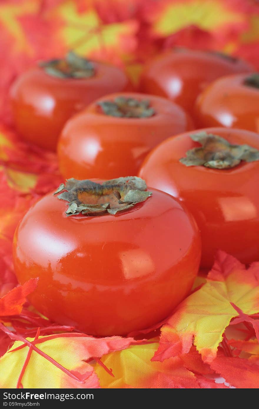 Persimmon in a harvest season