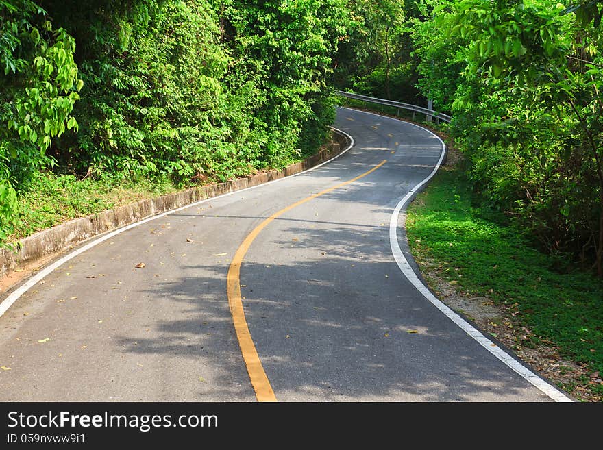 S-Curve asphalt road view in National Park. S-Curve asphalt road view in National Park.