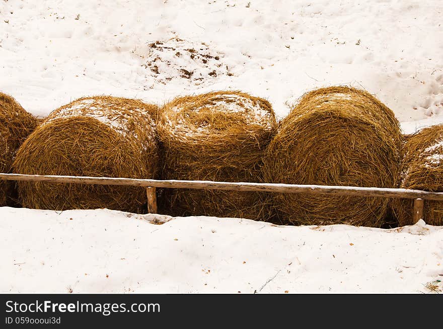 Row of haystacks on a farm in winter