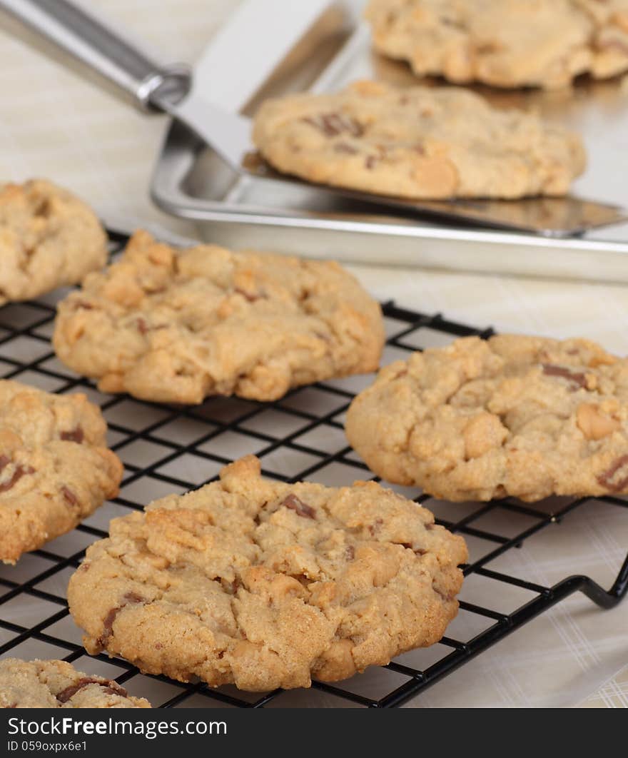 Peanut Butter Cookies Cooling