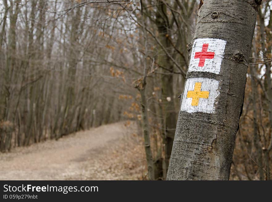 Tourist sign in the forest.