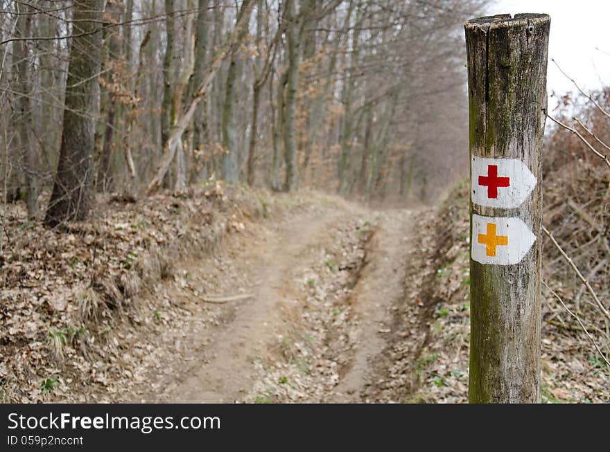 Tourist sign in the forest.