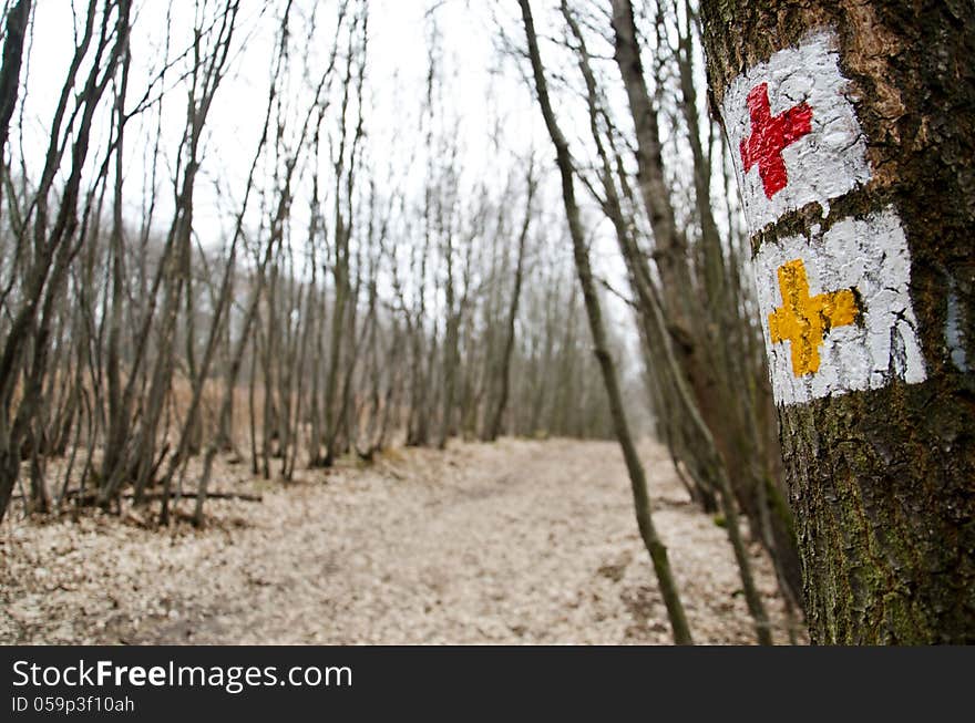 Tourist sign in the forest.