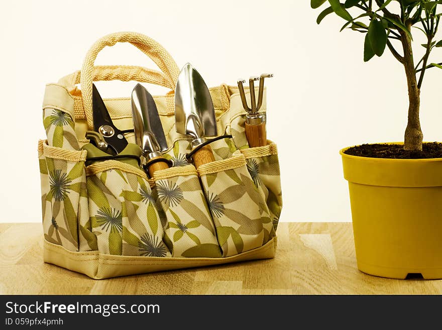 Handbag with a set of gardening tools and house plant in container