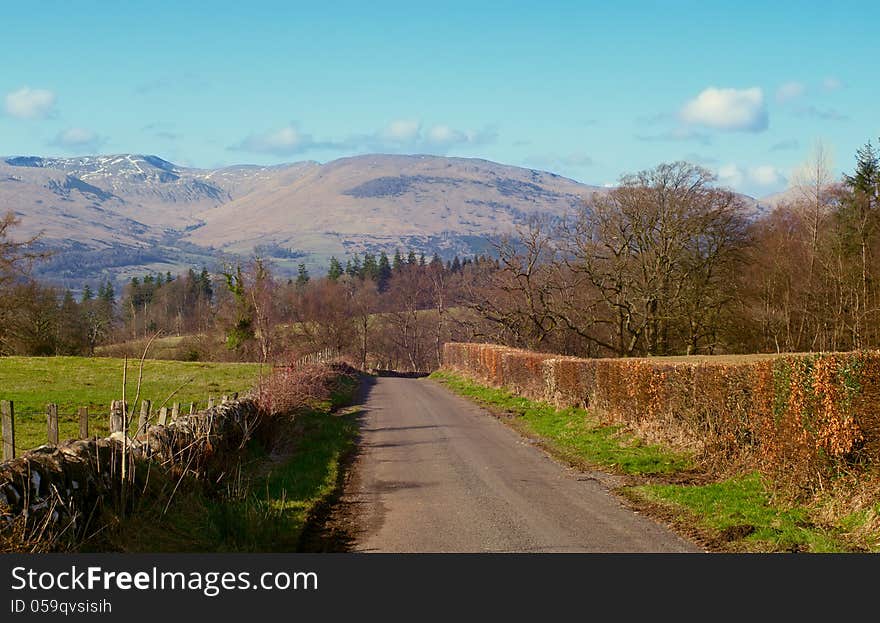 Hedge road in the Scottish countryside