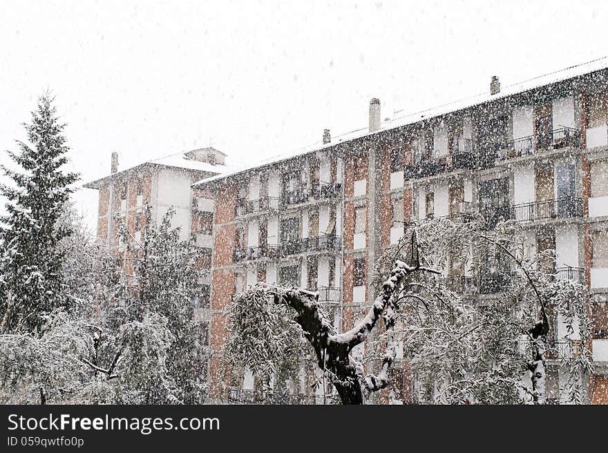 Snow in la spezia